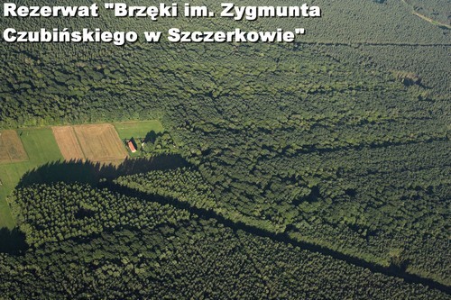 Rezerwat Brz�ki im. Zygmunta Czubi�skiego w Szczerkowie